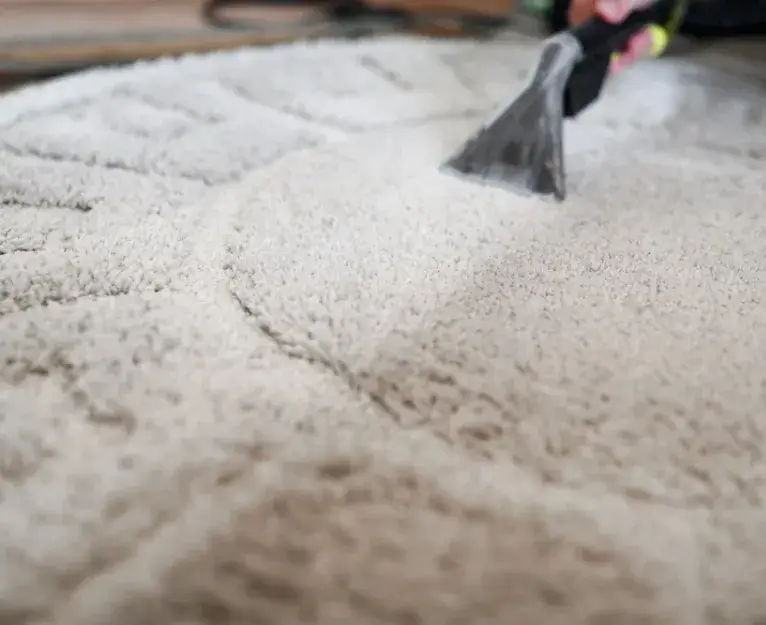 Carpet being professionally cleaned with high-power extractor